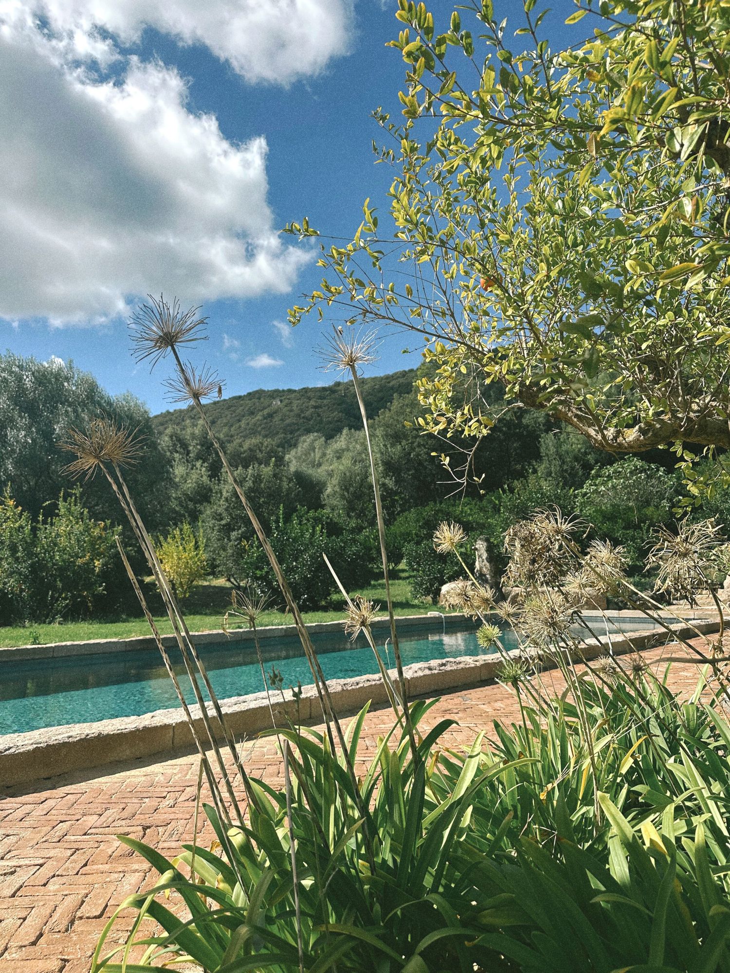 Lush garden with tall wildflowers frames a serene pool against a green hillside under a partly cloudy blue sky.