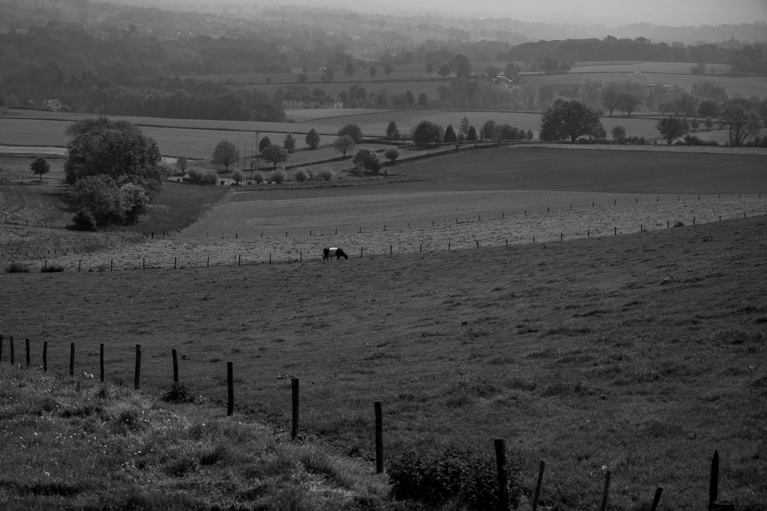 Heuvellandschap Limburg