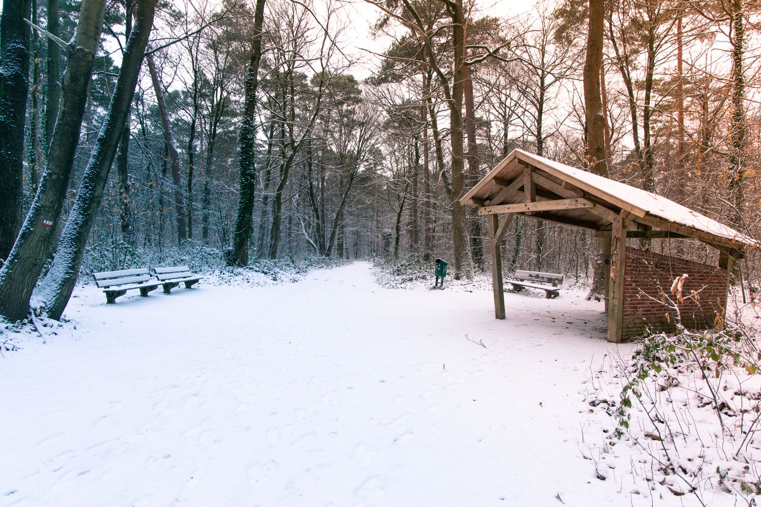 Sneeuw in het bos met schuilhut