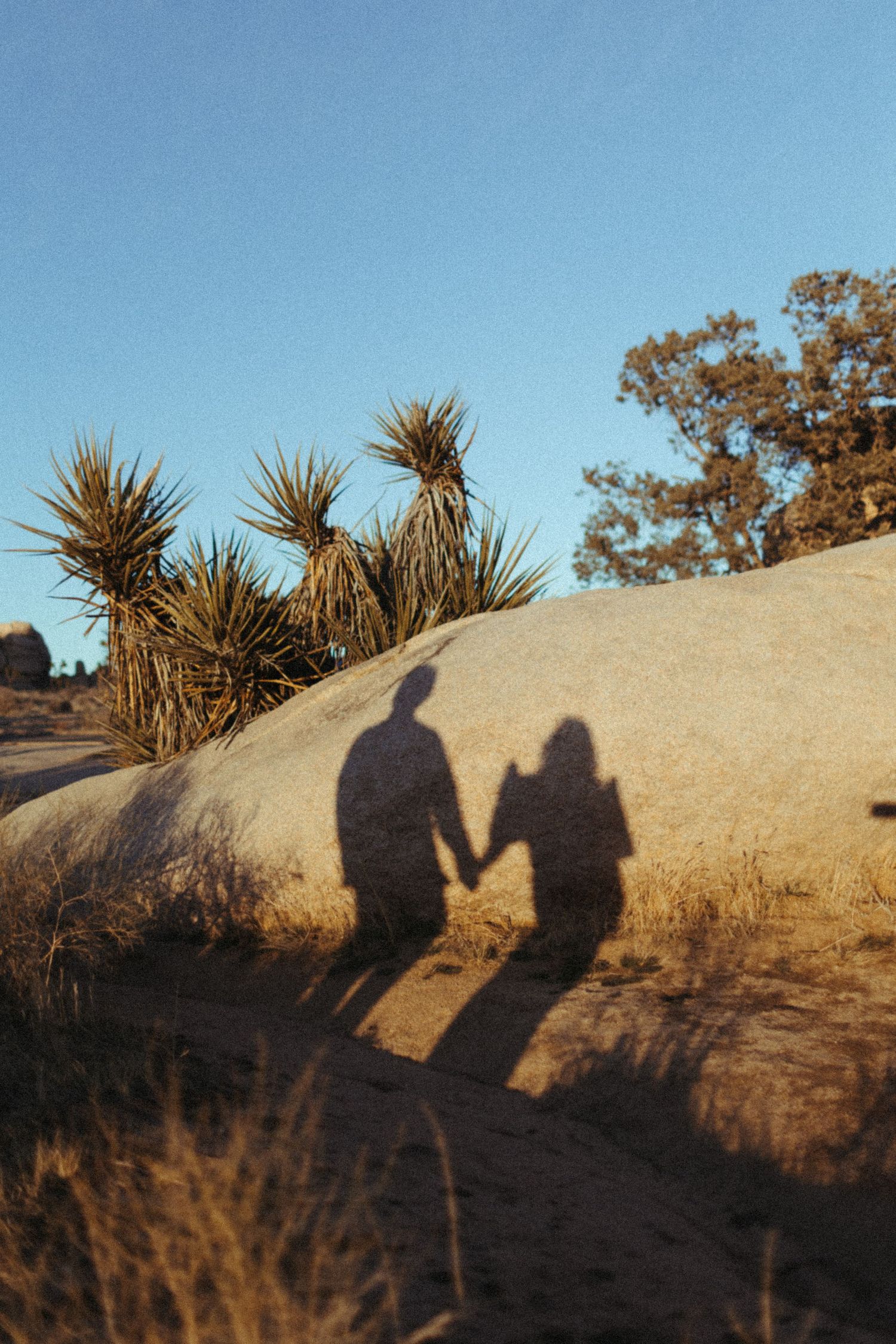shadow photo of couple during golden hour sunset at joshua tree national park near palm springs