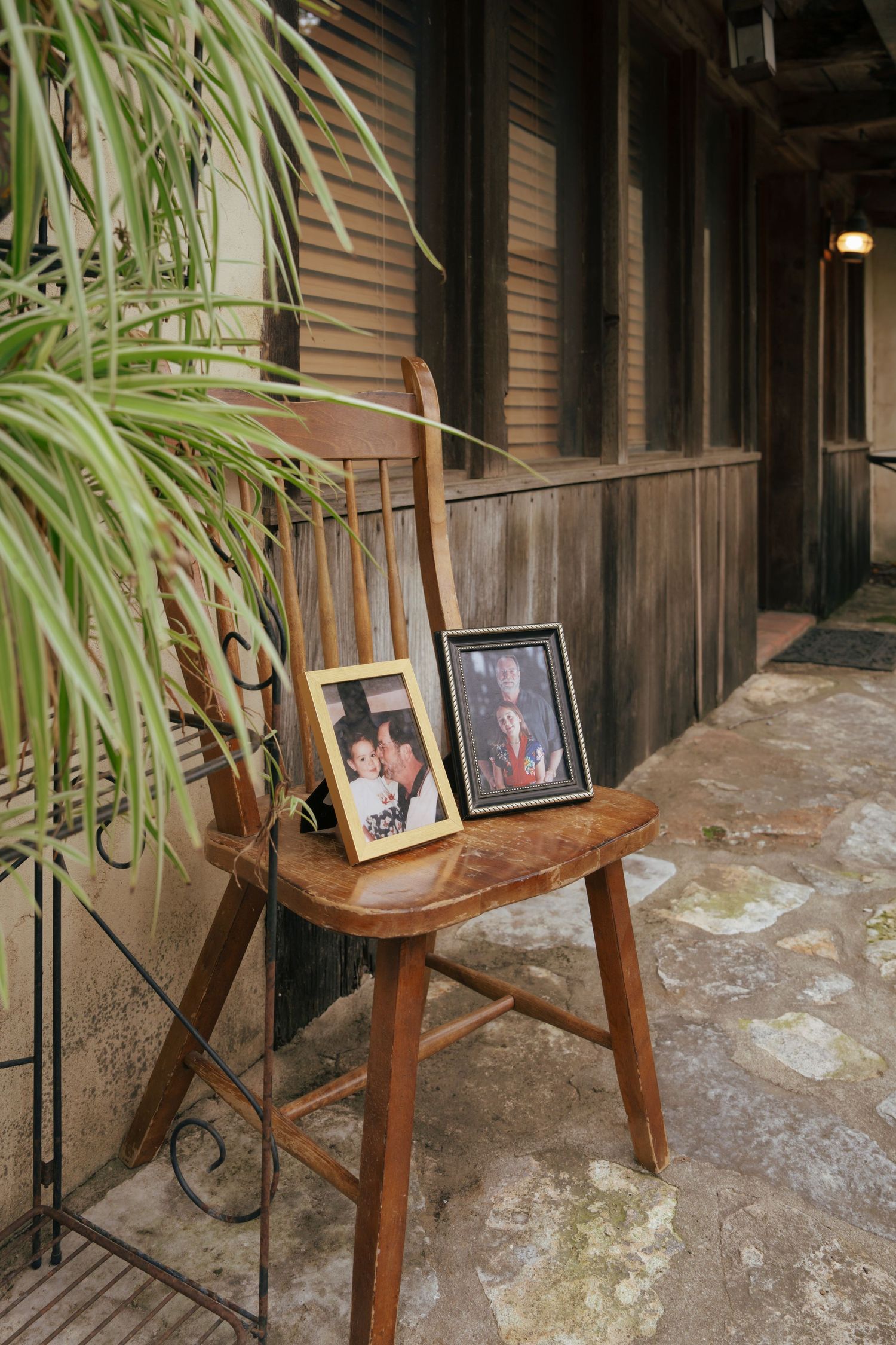 Vintage wooden chair with framed photographs displayed on its seat sits along a rustic bamboo-lined walkway.