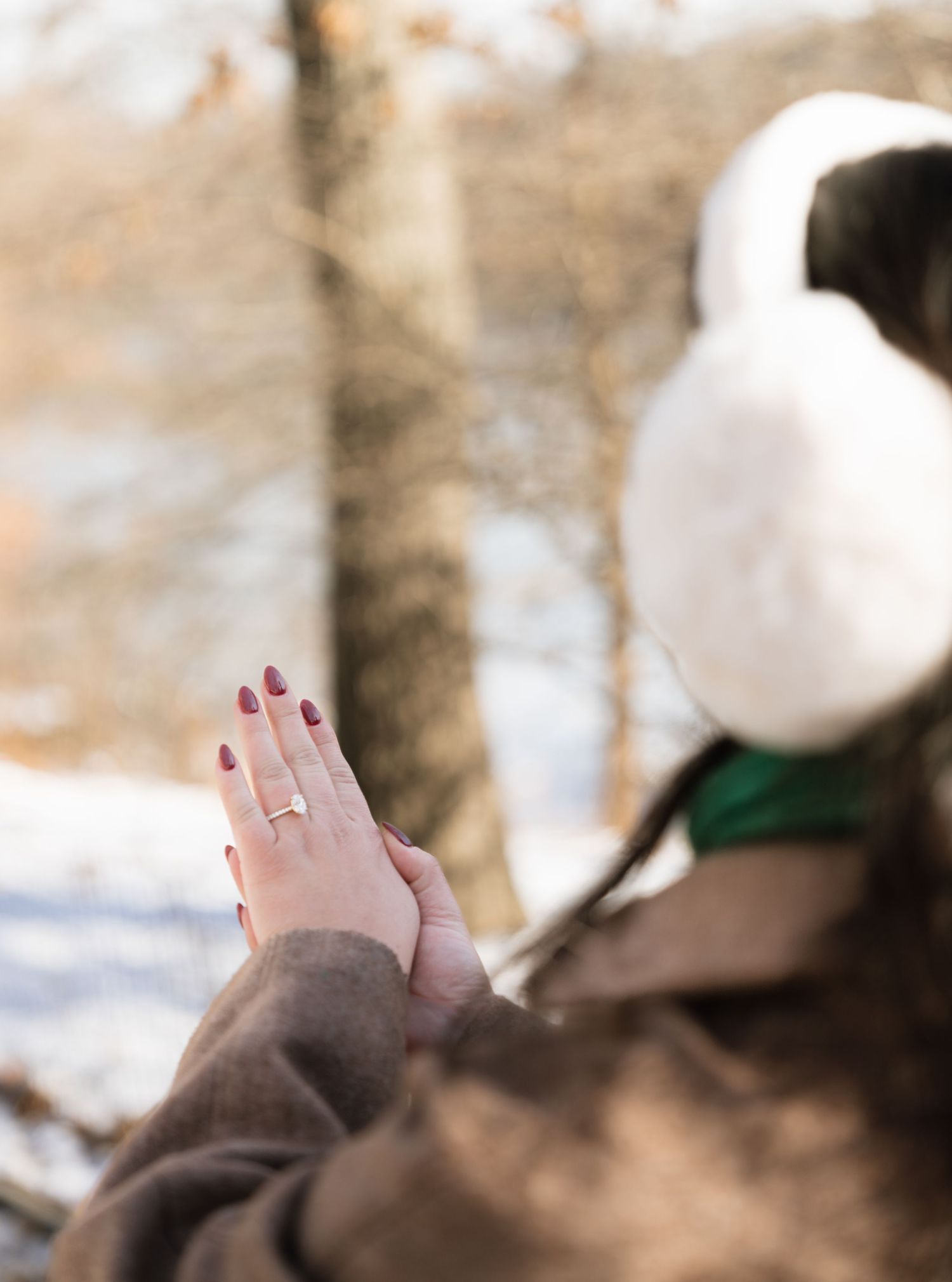 A hand wearing a brown sleeve shows off an engagement ring while a duck stands in the snowy background.