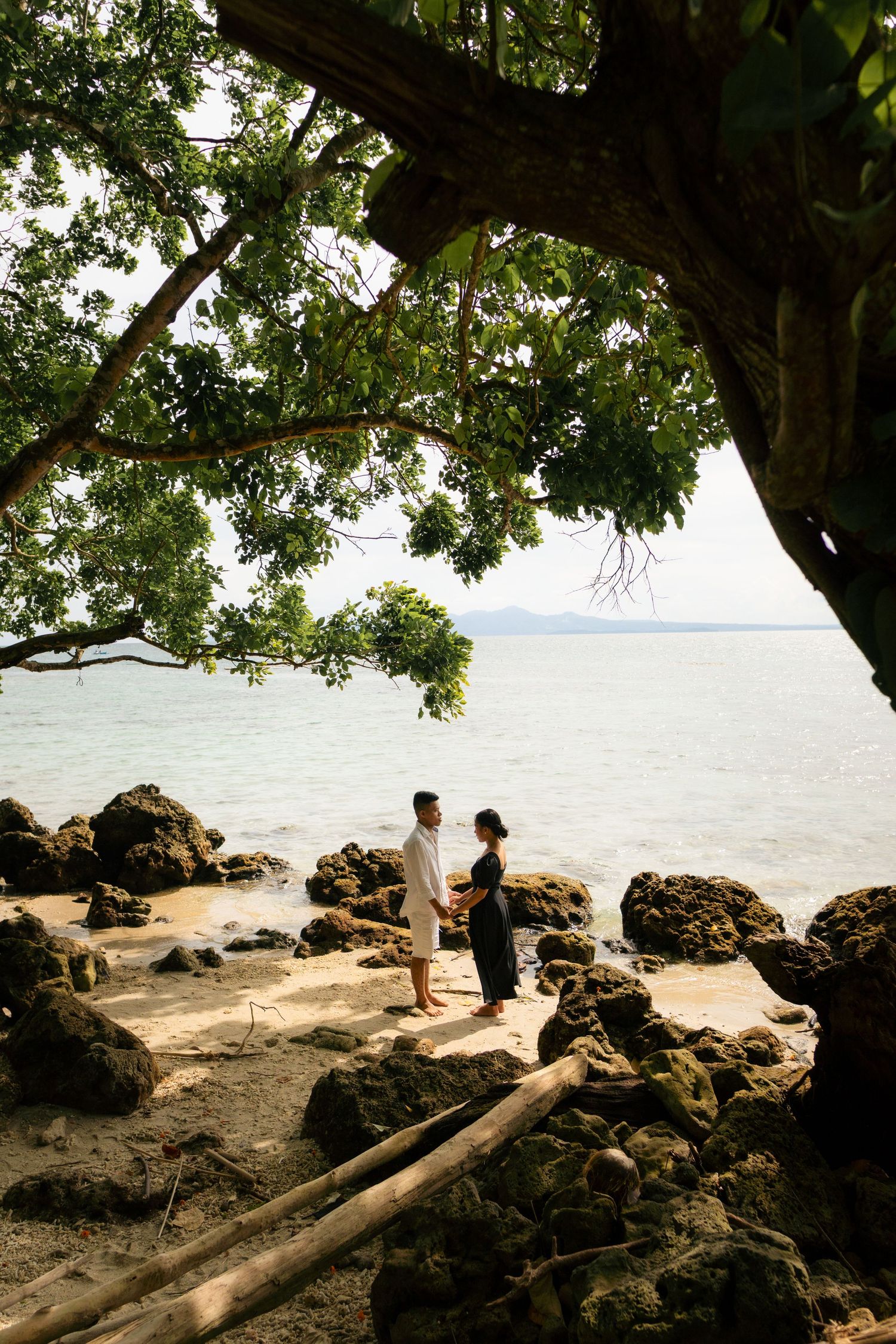A couple stands facing each other on a rocky tropical beach under a large tree with ocean views.
