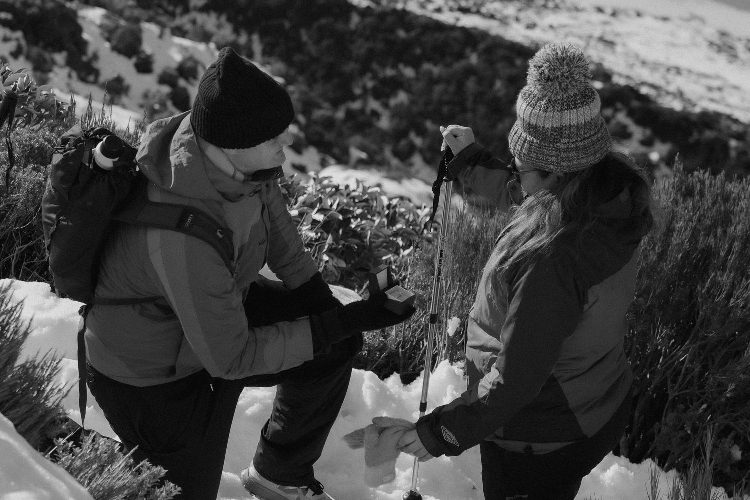 Two hikers in winter gear examine plants on a snowy mountain slope in this black and white outdoor photo.