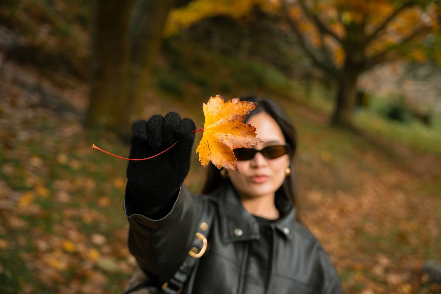 Woman in black leather jacket holding a yellow maple leaf in an autumn forest park setting.