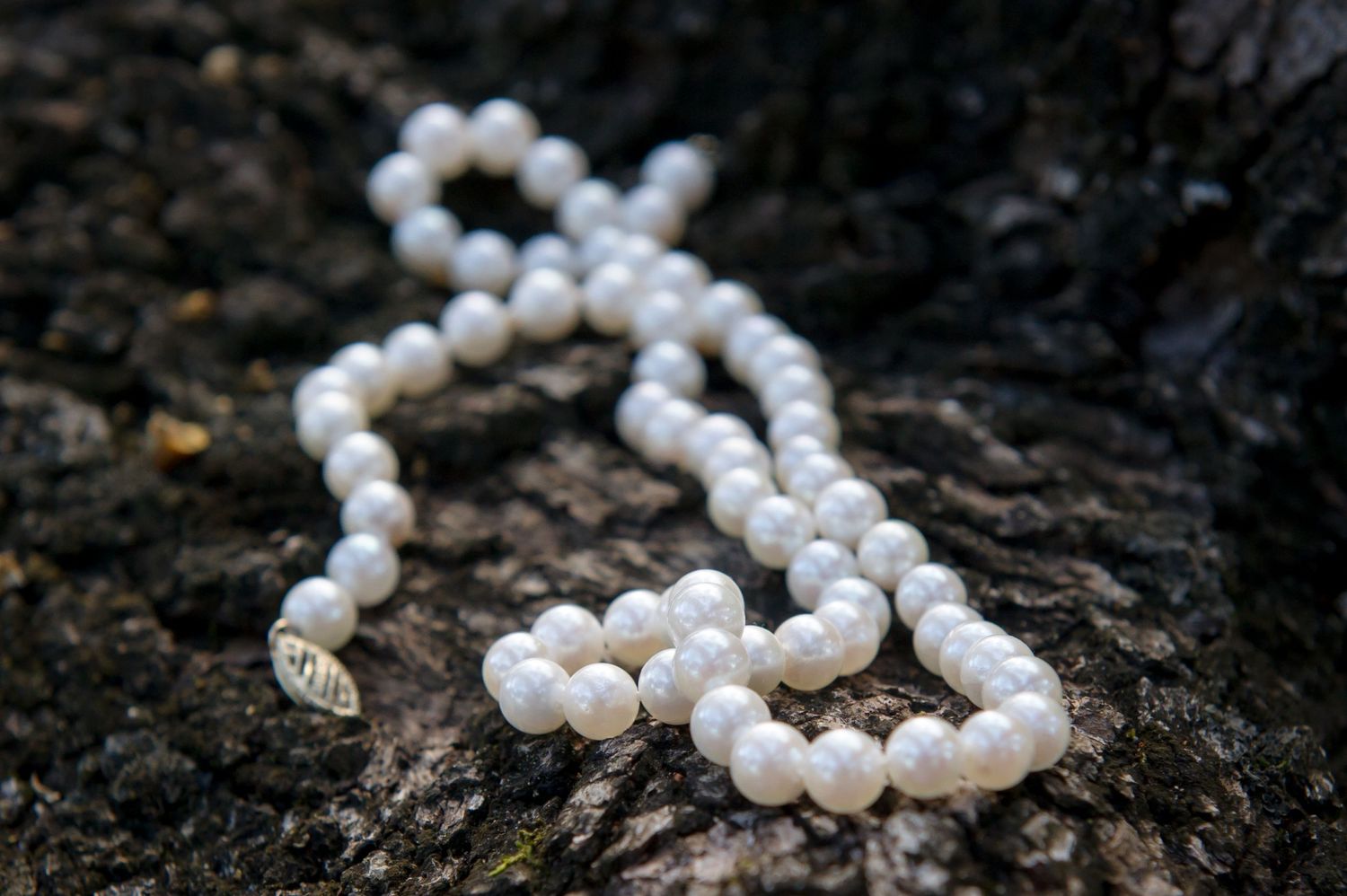 Pearl necklace arranged artistically on dark surface.