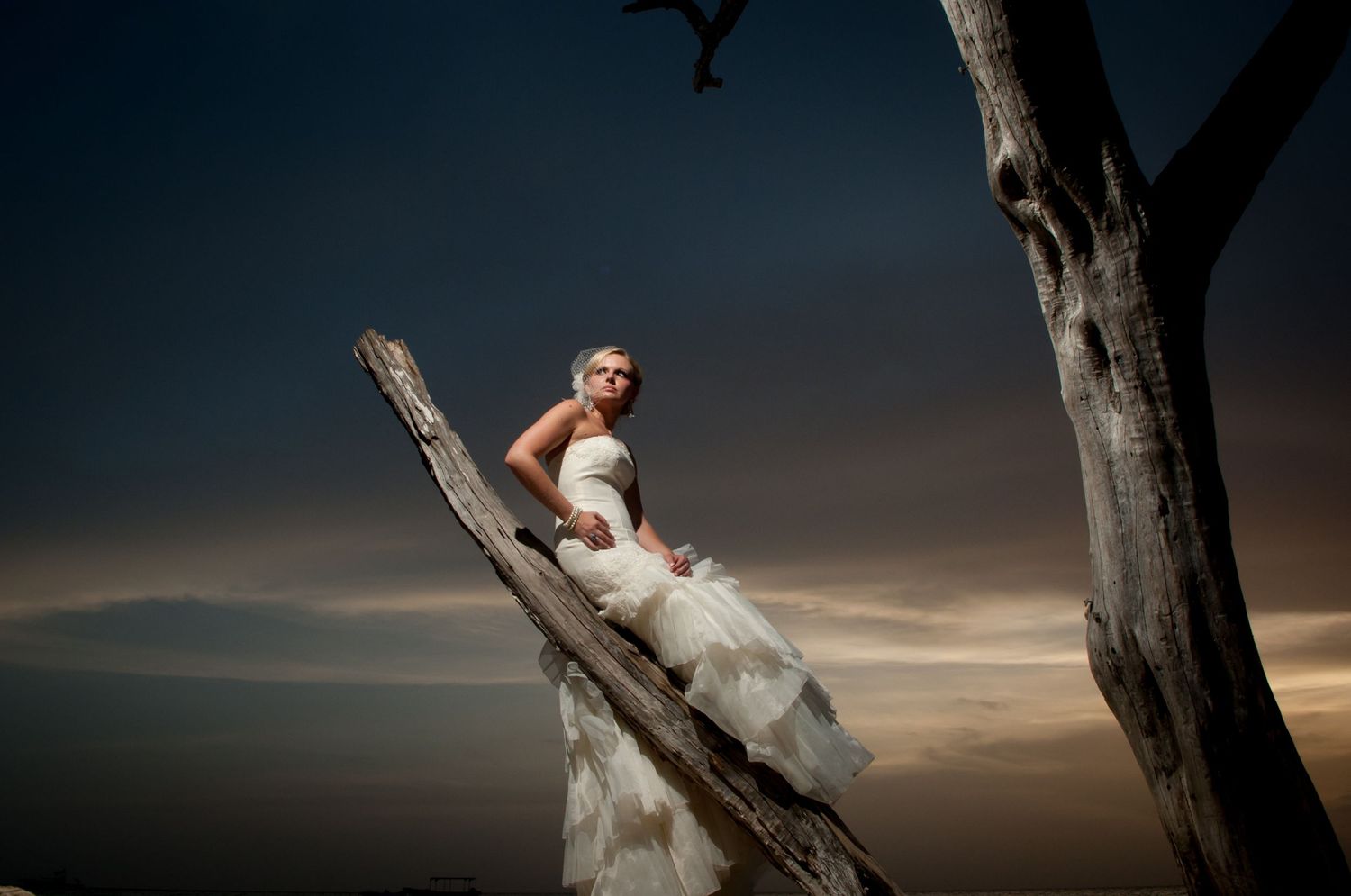 Wedding photography session at sunset with silhouetted trees and dramatic sky.