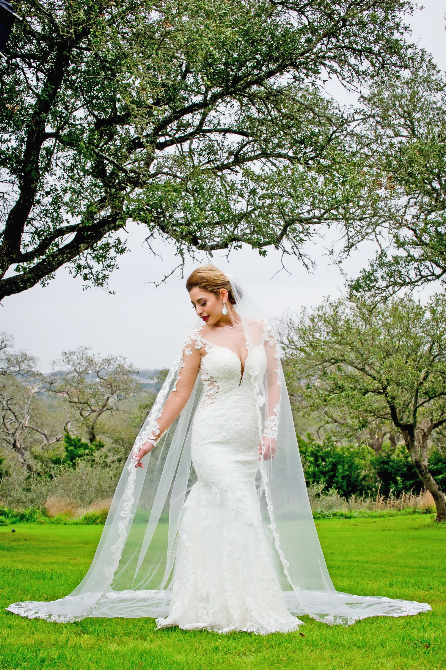 A bride in a lace gown with flowing veil stands on green lawn beneath sprawling oak trees.