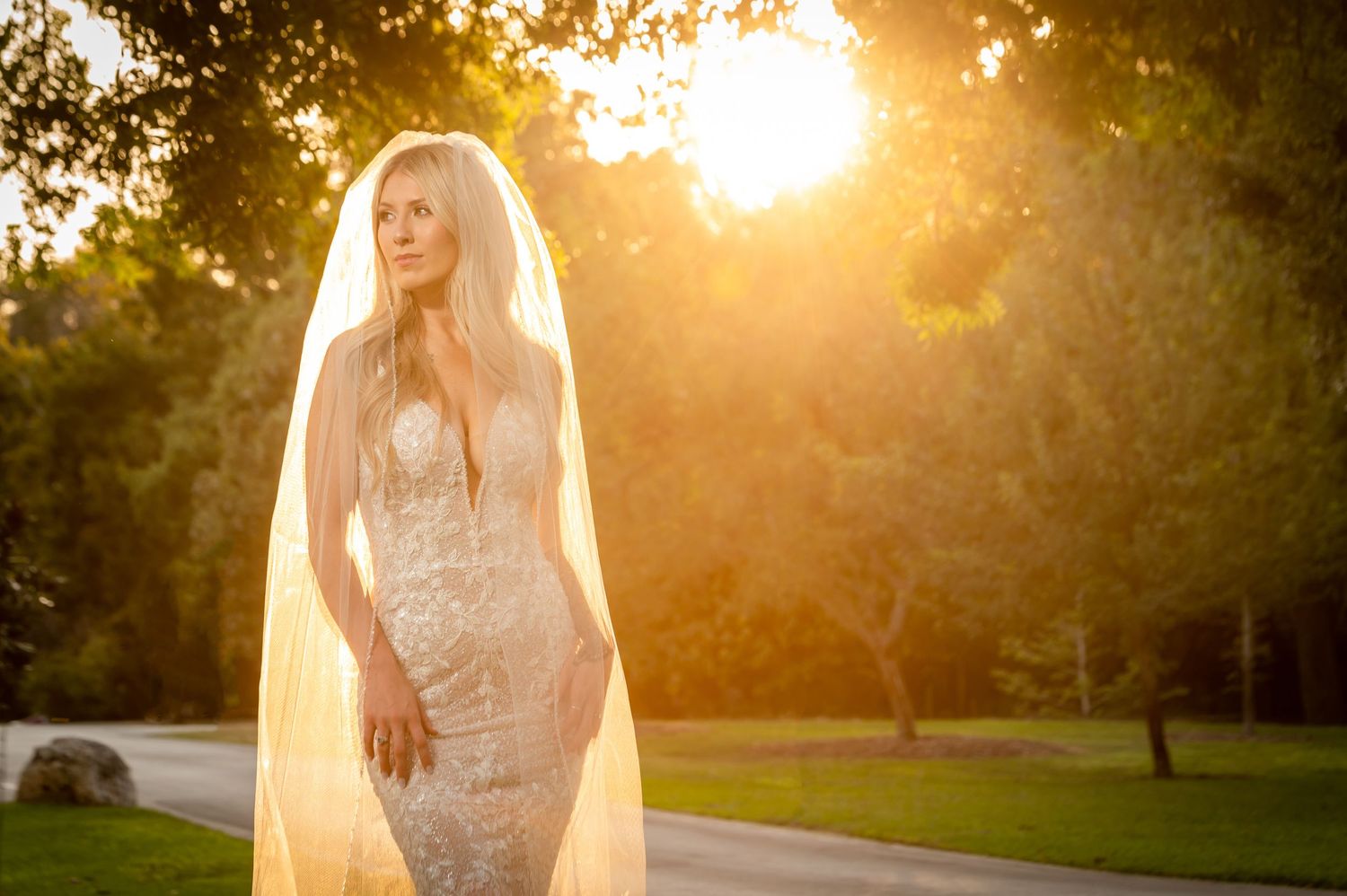 Ethereal bridal portrait with sunlit veil and intricate lace wedding dress.