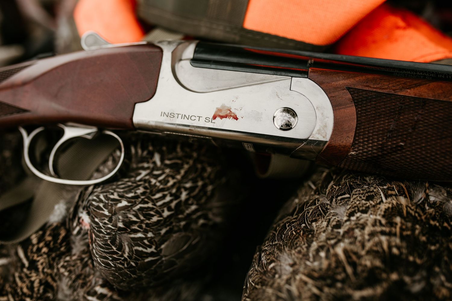 image of a shotgun trigger layed across some bird feathers
