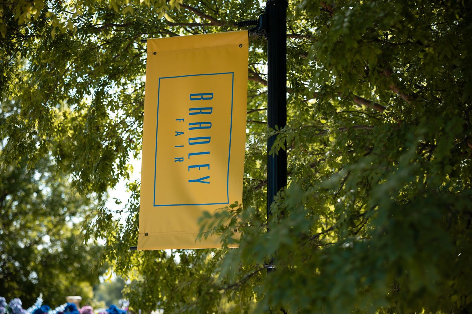 image of bradley fair in wichita ks sign in some green tree leaves