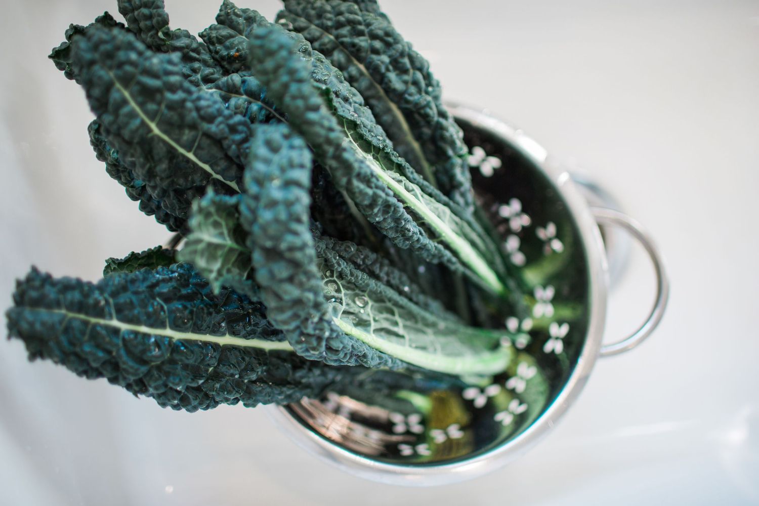 image of fresh collard greens