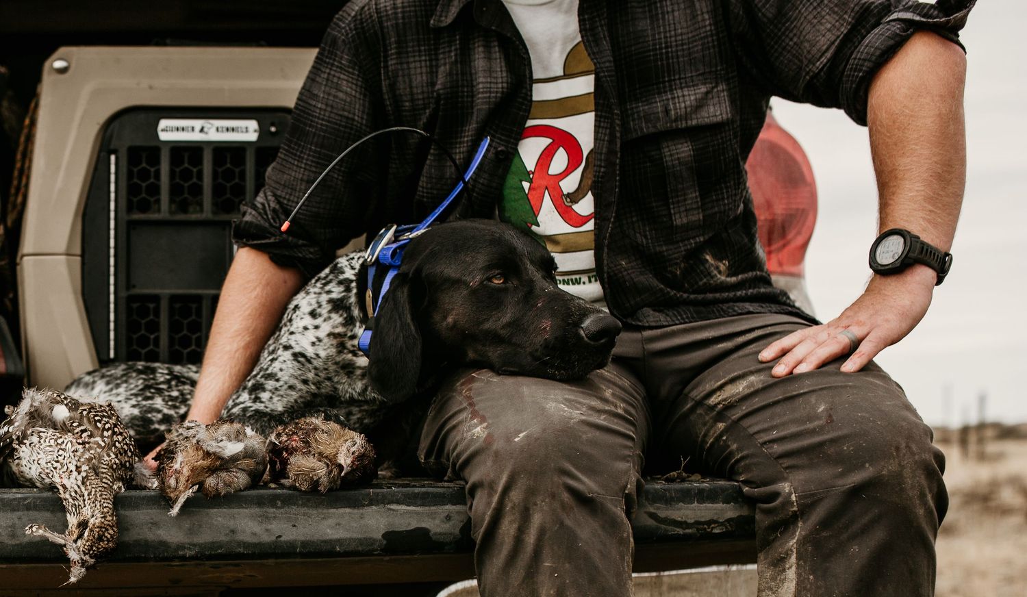 image of upland bird hunter sittting on tailgate with his dog and harvested birds