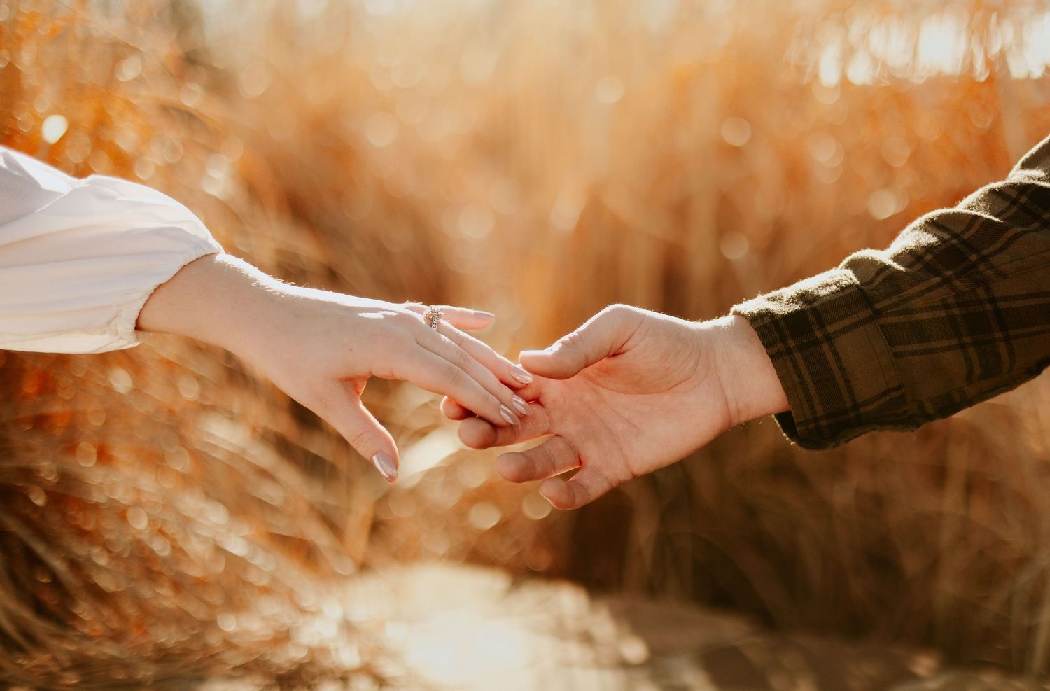 Two people gently holding hands in a golden autumn field, symbolizing love and connection.