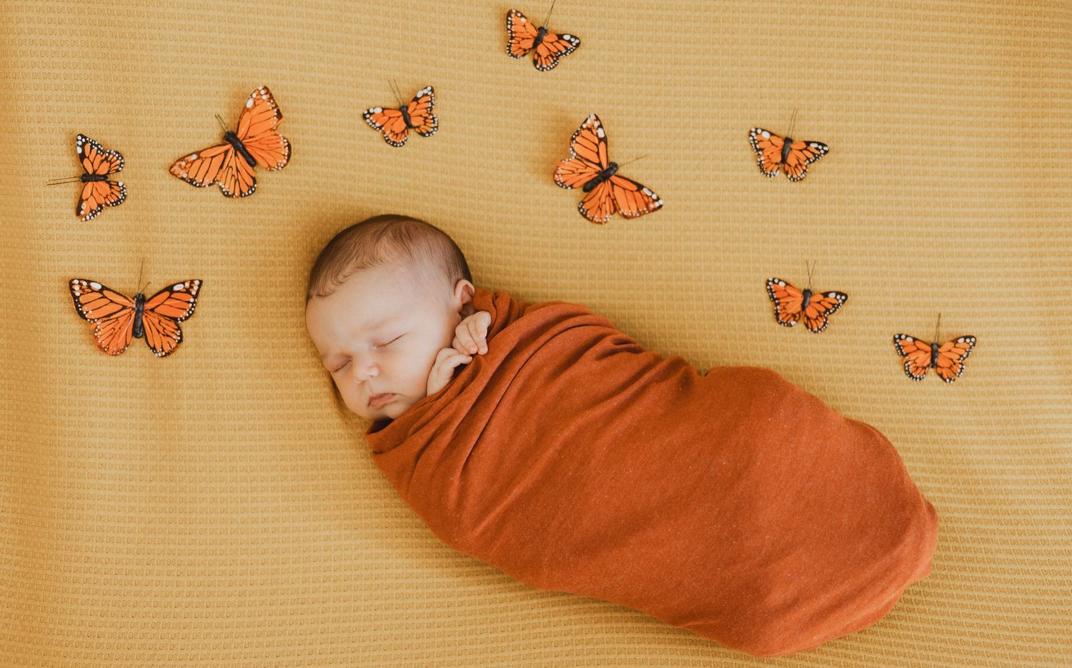 Newborn baby wrapped in burnt orange swaddle sleeping peacefully surrounded by monarch butterflies on yellow background.