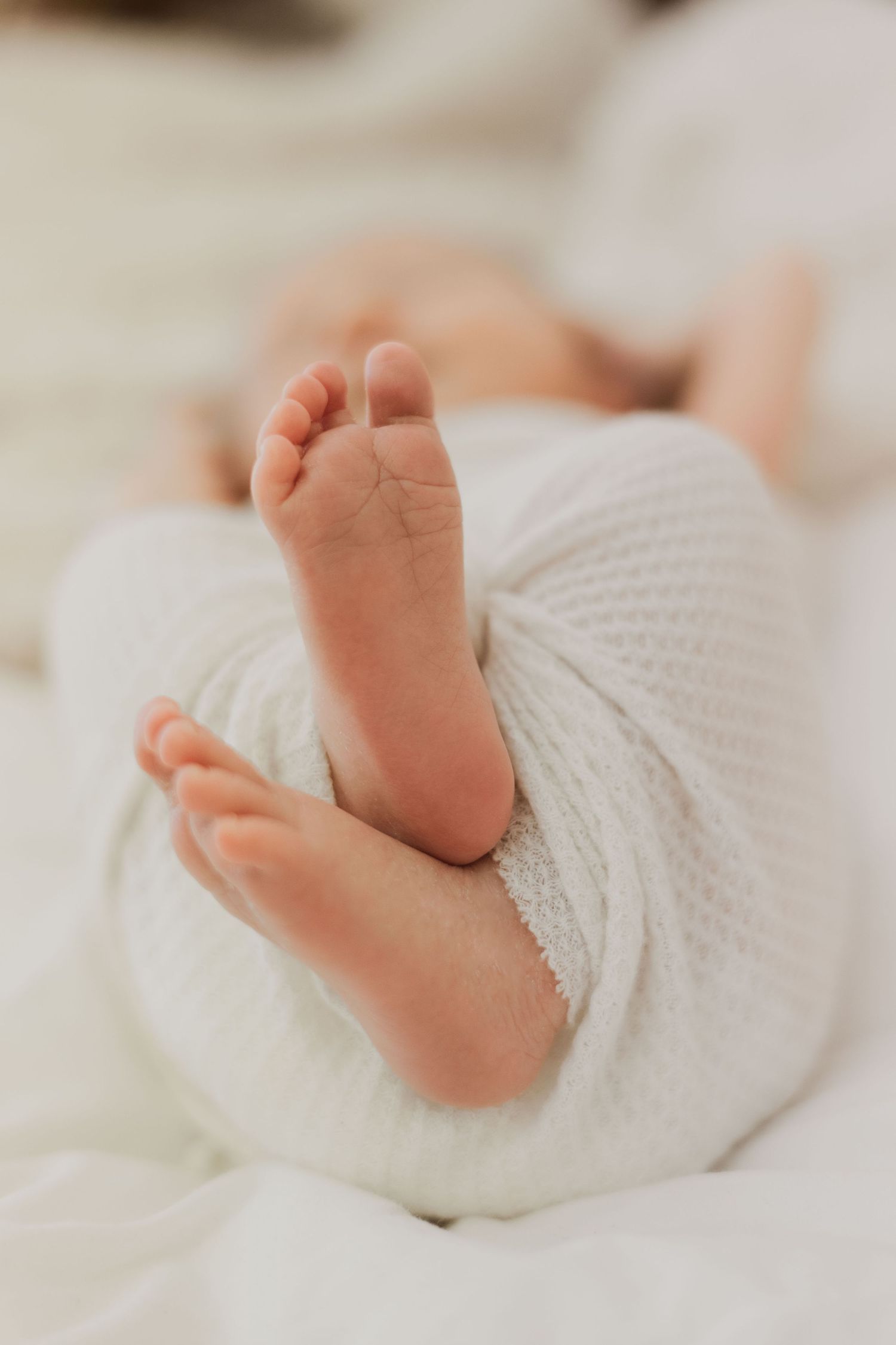 Close-up of tiny newborn baby feet wrapped in a soft white knit blanket.