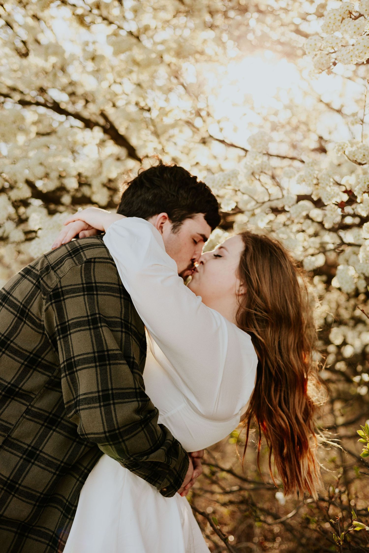 Romantic couple sharing a tender kiss under blooming white cherry blossom trees outdoors.
