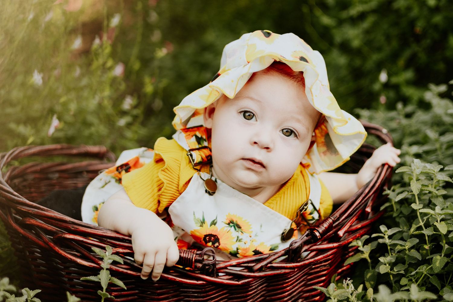 Little girl in a flower field