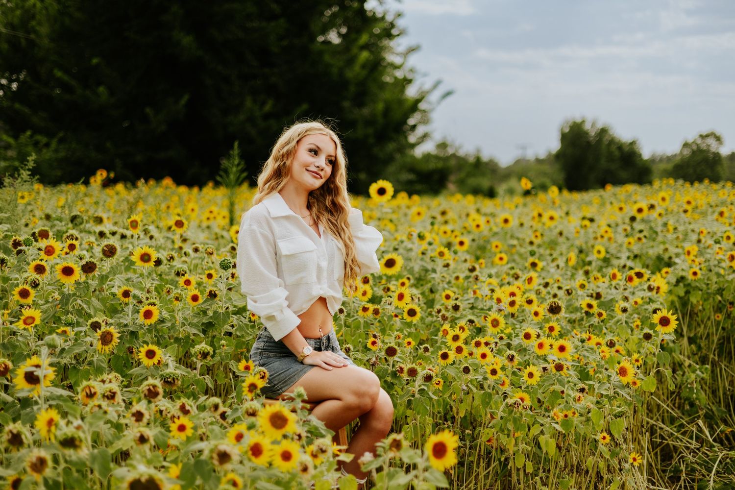 A young blonde woman sits smiling in a vibrant sunflower field wearing a white shirt and denim shorts.
