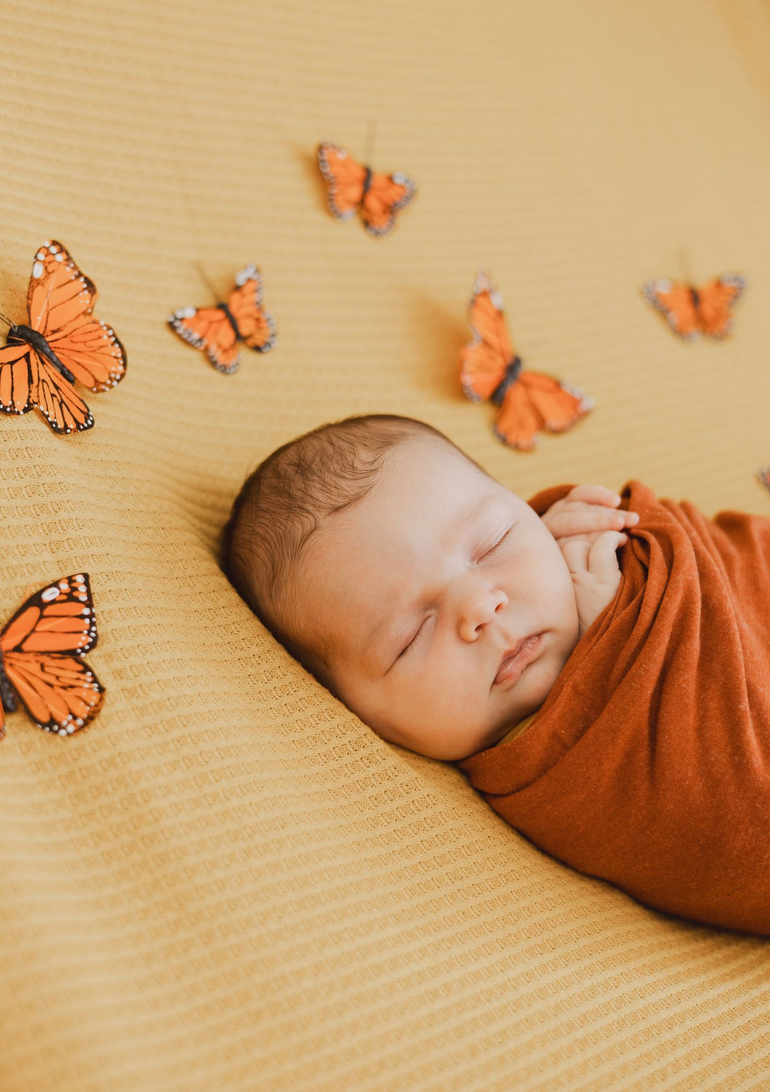 Sleeping newborn swaddled in rust orange wrap surrounded by monarch butterfly decorations on yellow blanket.