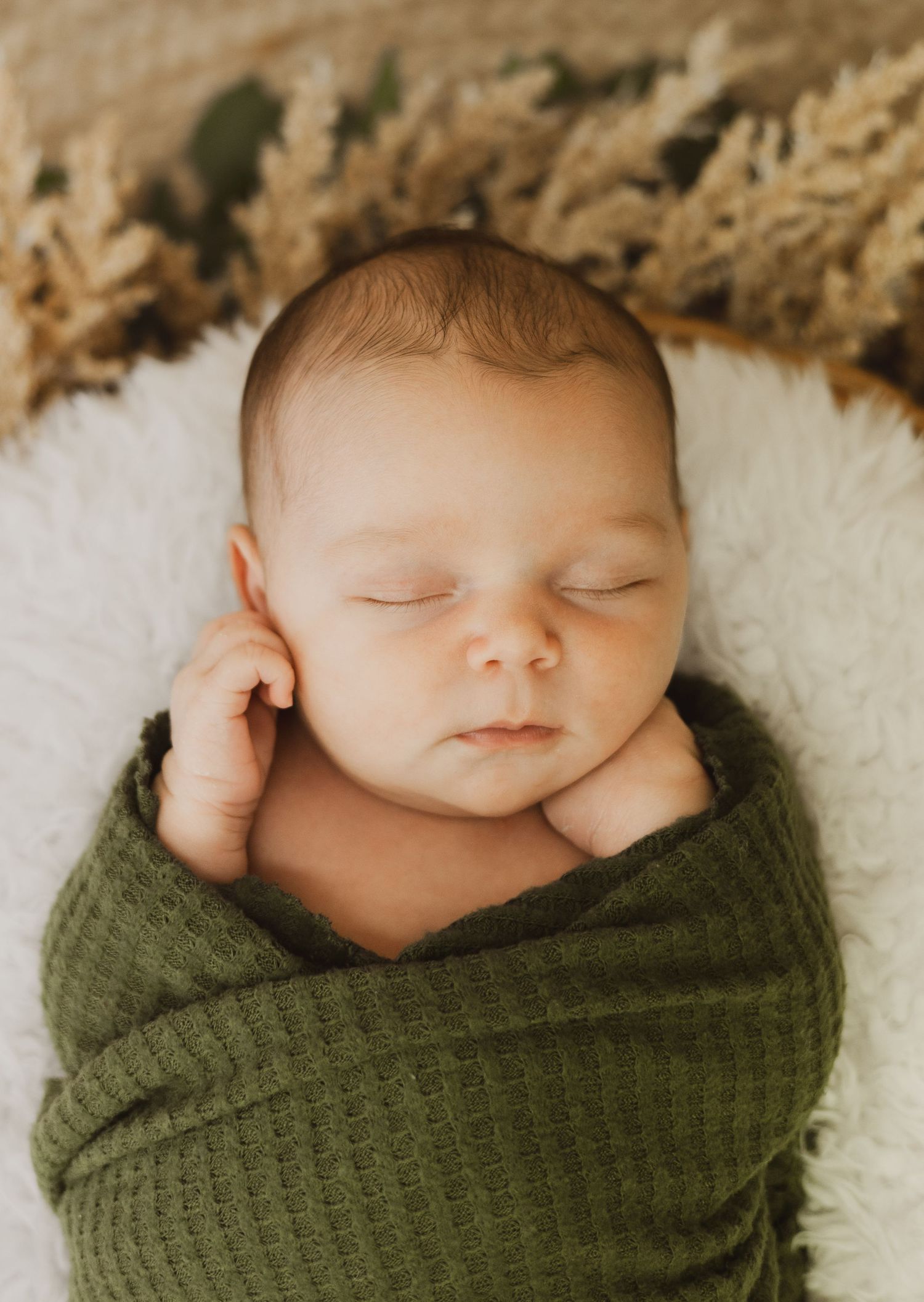 Peaceful newborn baby swaddled in olive green wrap sleeping in white fluffy basket with pampas grass backdrop.