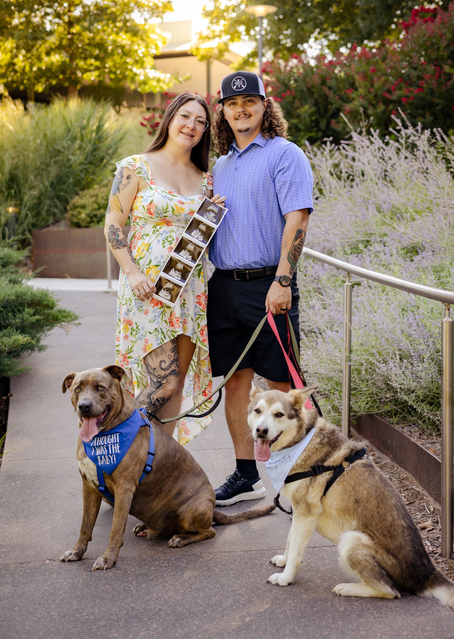 Pregnant couple with two dogs and ultrasound photos in a garden setting.
