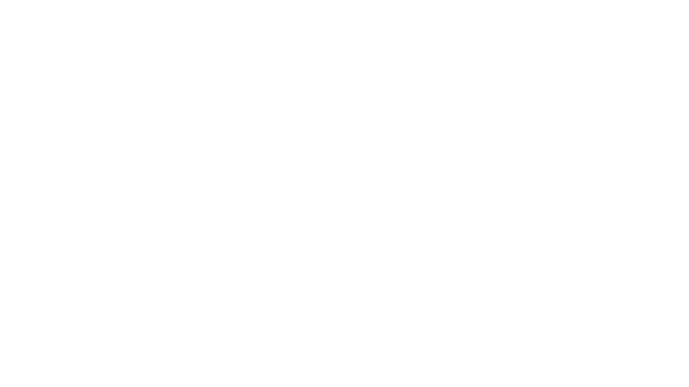 Blank white image with no visible content or subject matter displayed.