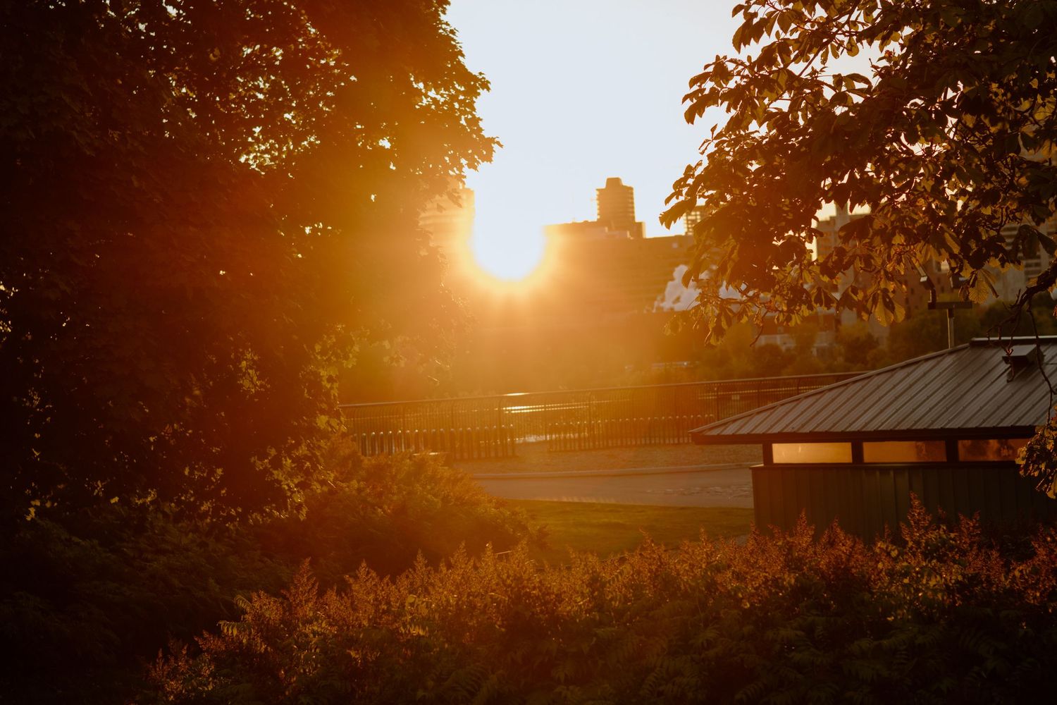 Sunset photo in Ottawa