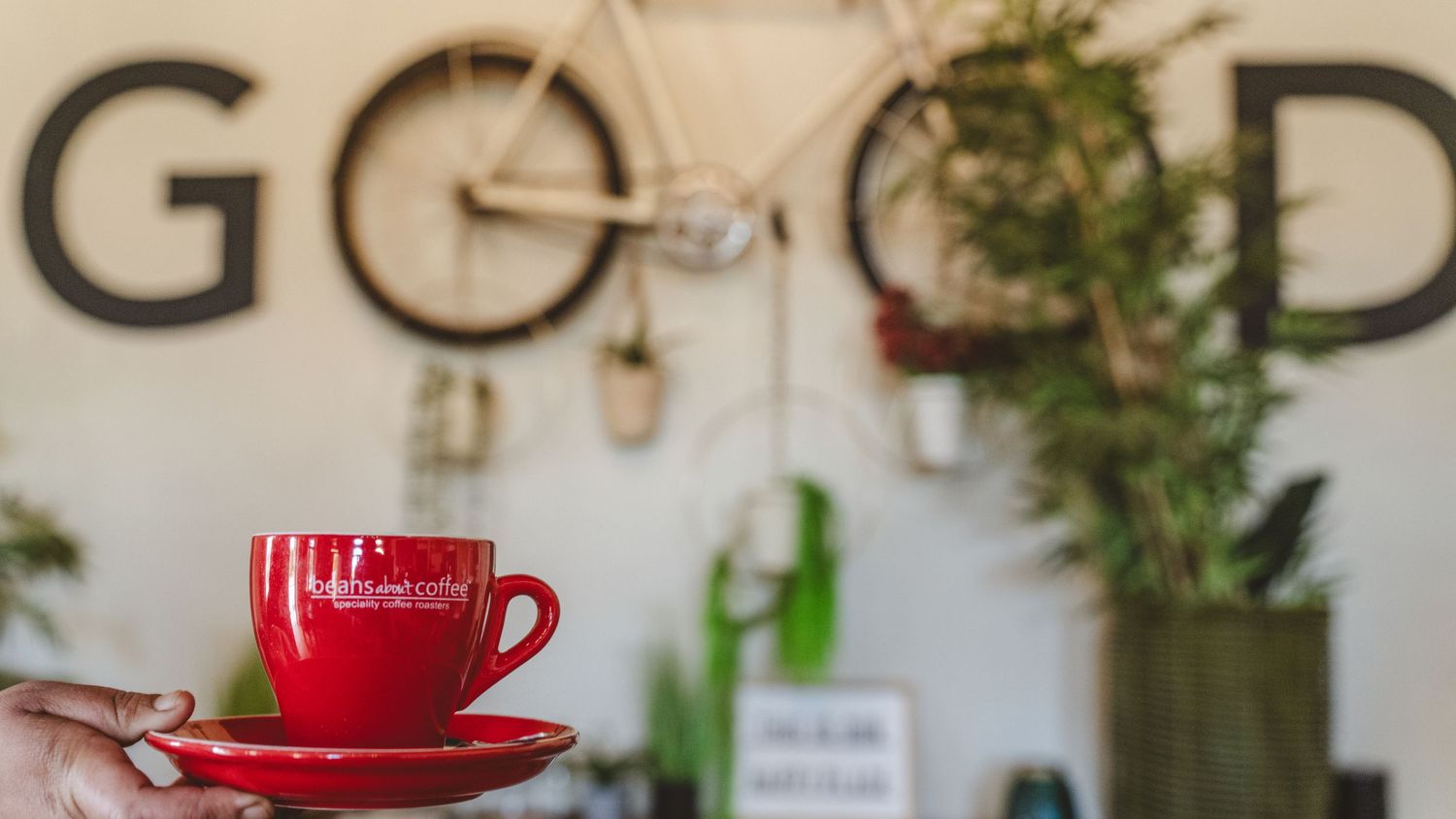 Coffee shop interior with decorative wall art and red coffee cup on display.