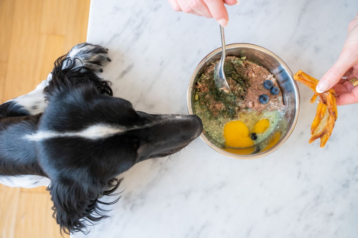 A black and white dog sniffs a bowl of raw food ingredients including an egg and blueberries on a marble surface.