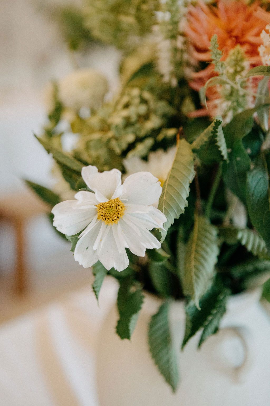 Close-up of white cosmos flower with yellow center in lush green and coral wedding bouquet arrangement.
