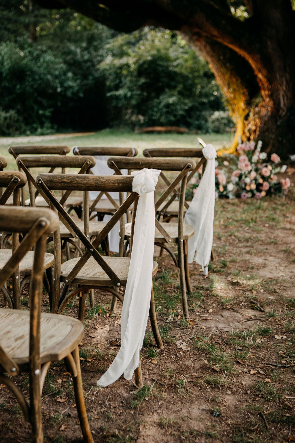 Rustic wooden cross-back chairs with white ribbon decor line an outdoor wedding aisle beneath a large tree.