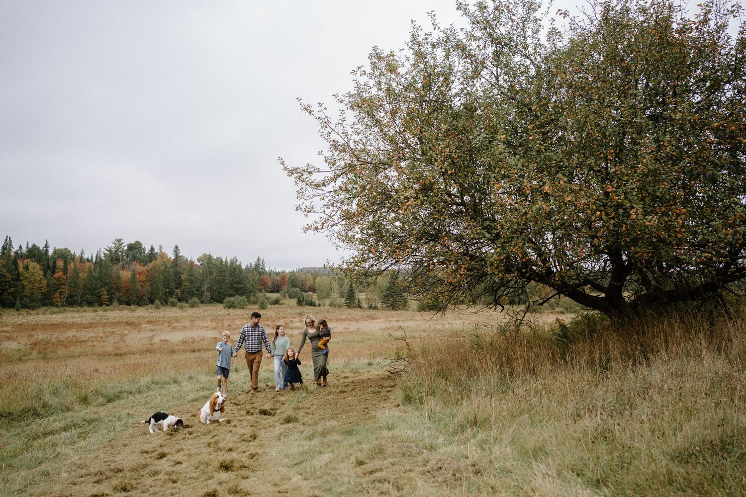 A family session in a beautiful field-Muskoka family photographer-Alexis Anne photography