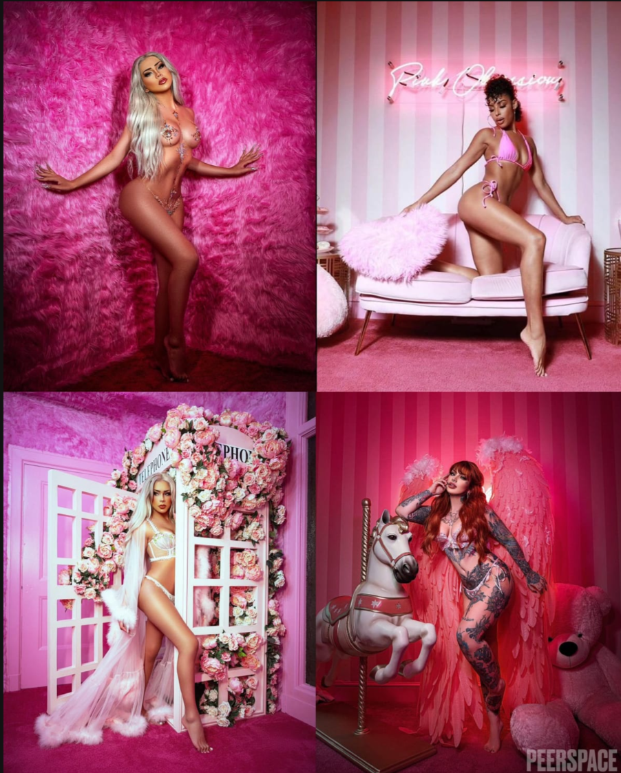 A pink-toned boudoir photography collection featuring feminine poses against floral backdrops and romantic decor.