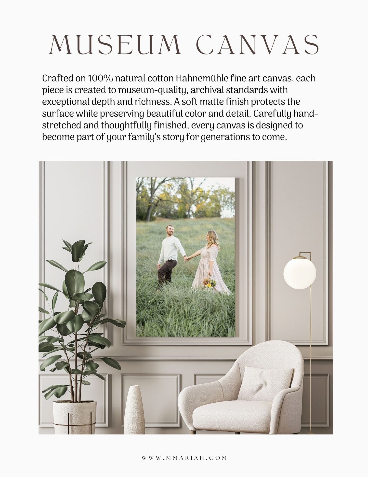 Museum canvas collection featuring natural cotton artwork displays in modern home settings.