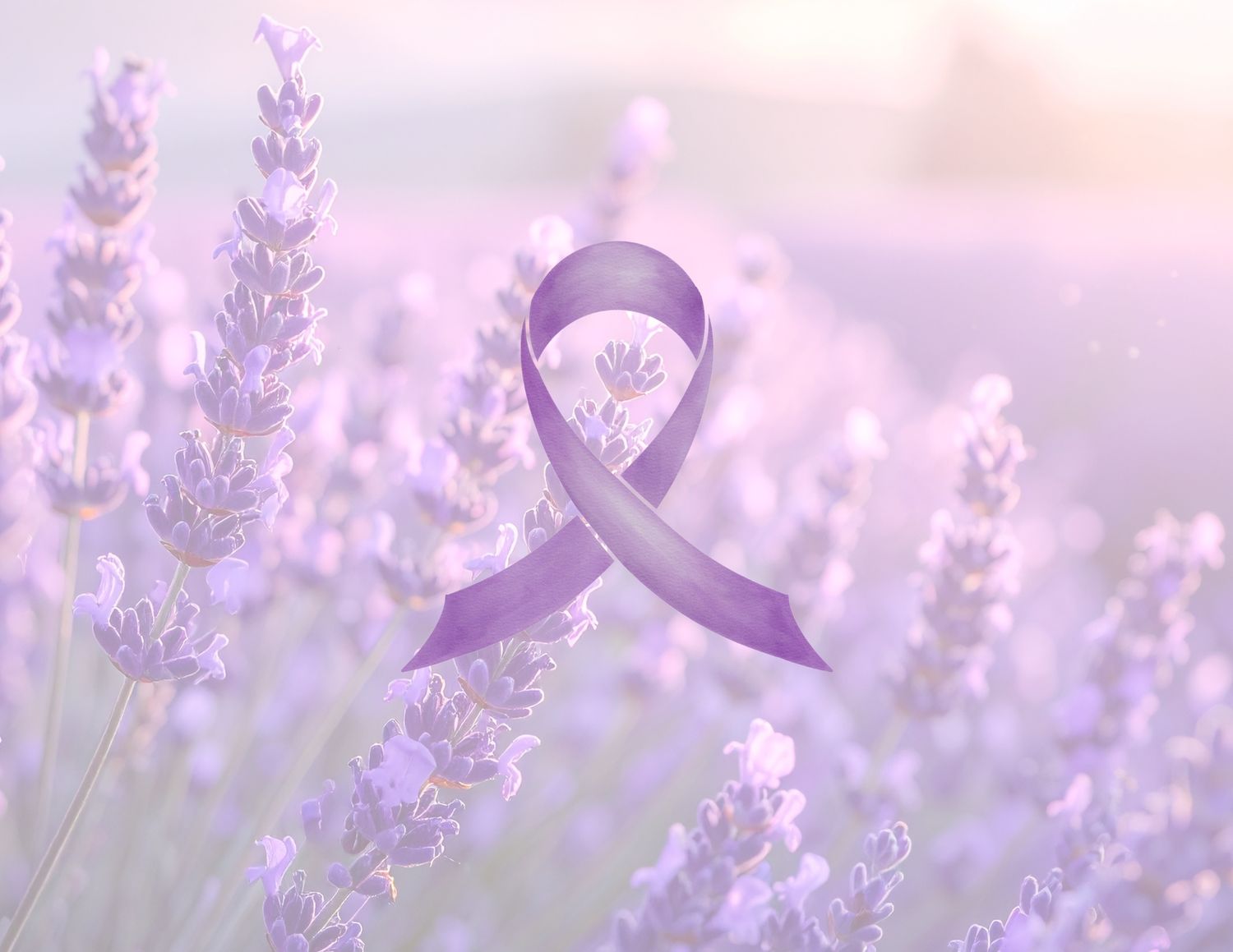Purple awareness ribbon overlaid on a blooming lavender field with soft, dreamy lighting.