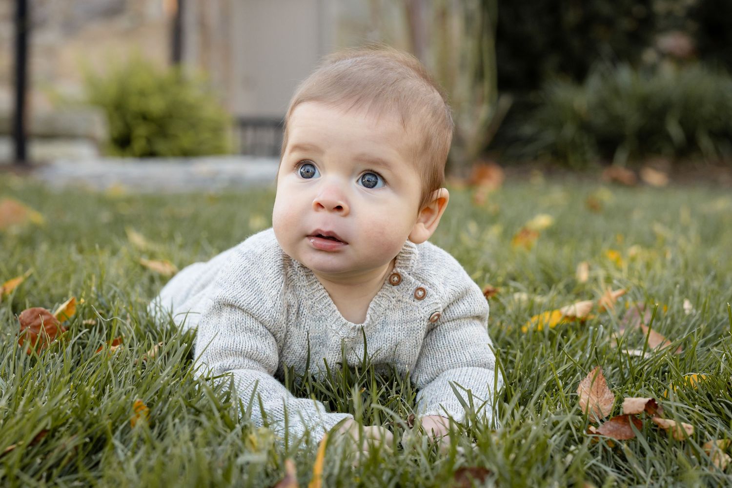 Baby in white sweater lying on grass with autumn leaves in a park setting.