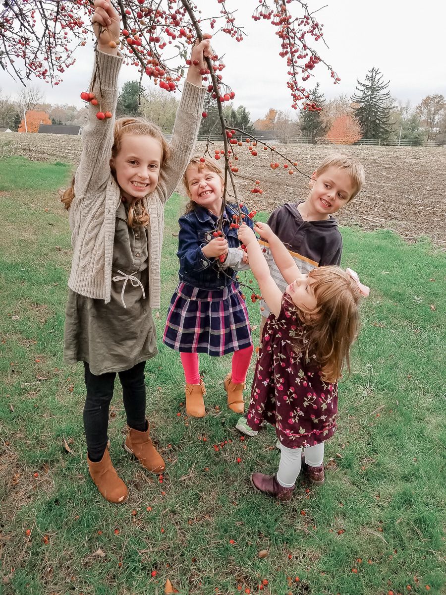 Children playing outdoors in autumn, reaching up to touch tree branches during family photos with a Lancaster, PA family photographer.