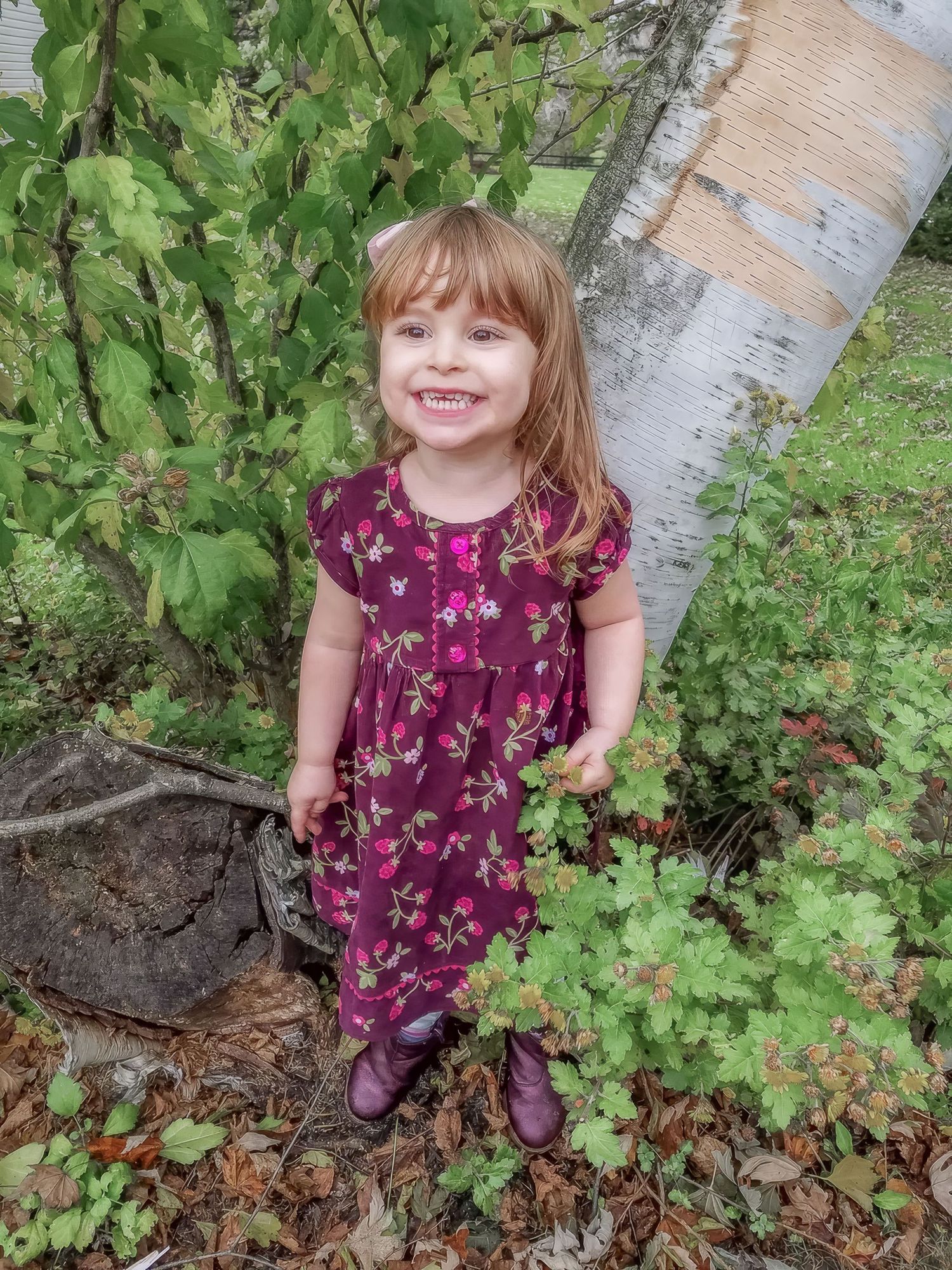 A small child in a purple dress stands by a birch tree trunk surrounded by green foliage, by Lancaster, PA family photographer.