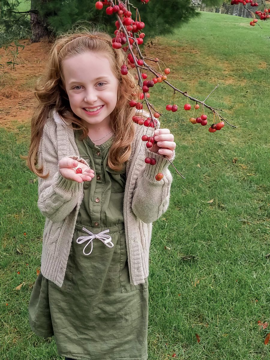 Child showcasing bright red winter berries on a branch during family photos with a Lancaster, PA family photographer.