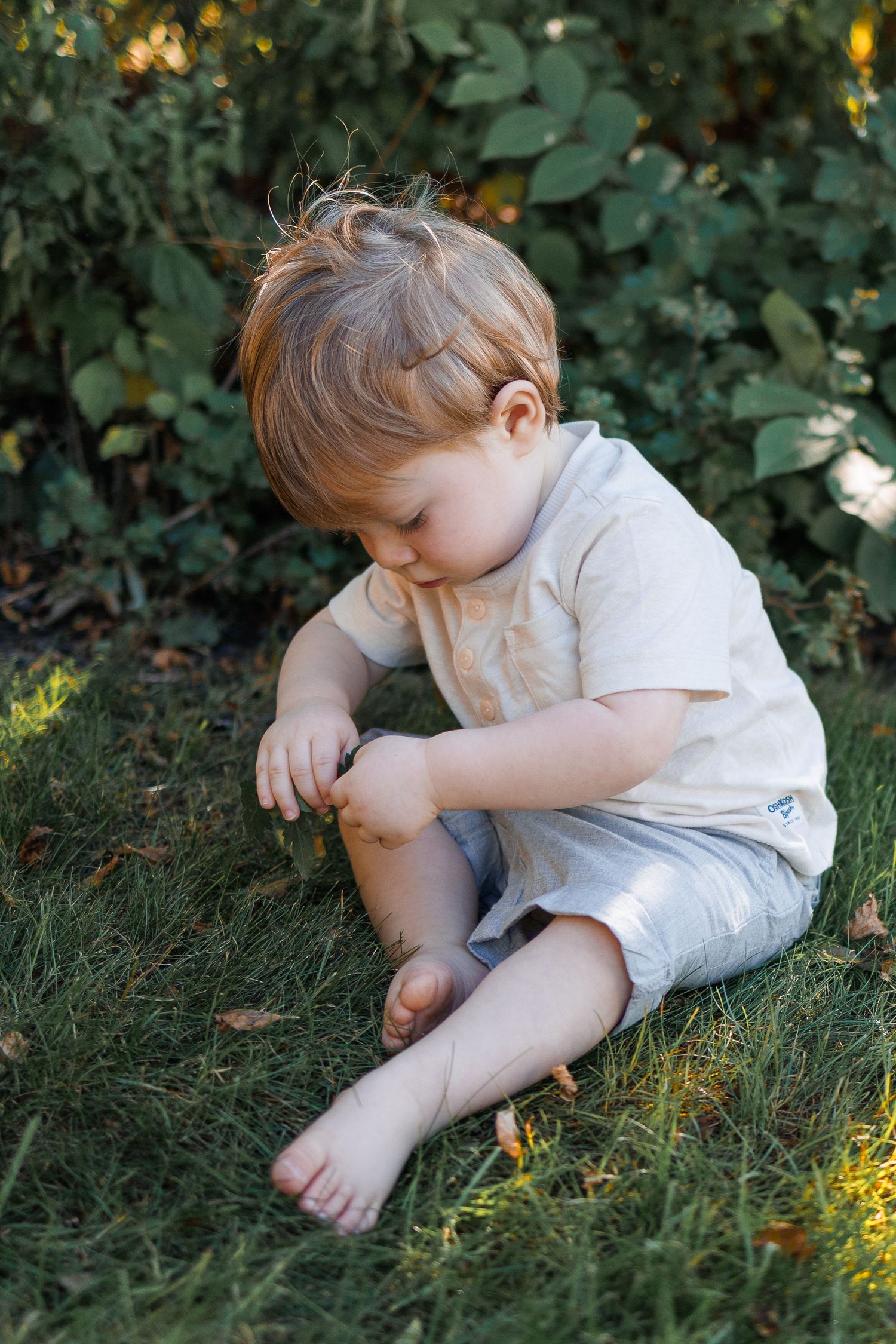 A little boy is sitting in the grass during a mini session in Lancaster, PA.
