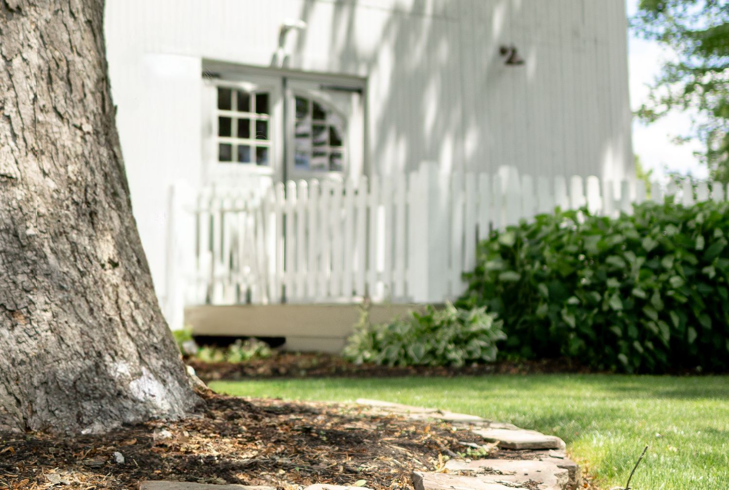 A white house exterior with a large tree trunk in the foreground and green grass on a sunny day.