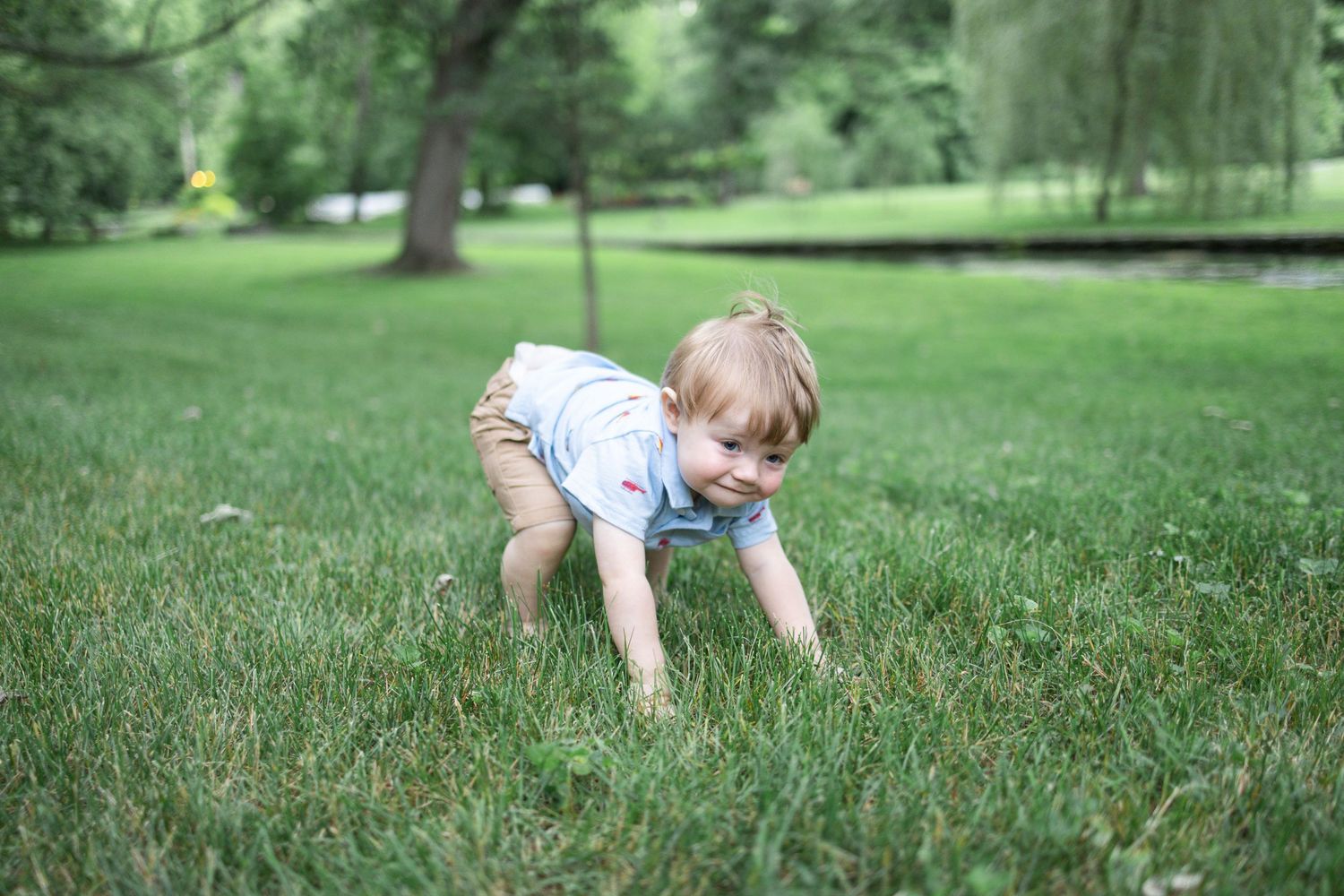 Toddler squatting in grass at Donegal Presbyterian Church in Mount Joy, PA during family session with Lancaster, PA photographer.