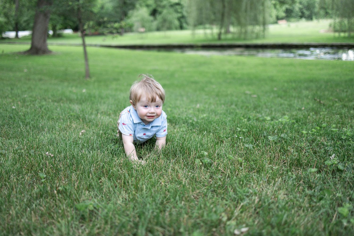 Toddler boy crawls in grass at Donegal Presbyterian Church in Mount Joy, PA during family session with Lancaster, PA photographer.