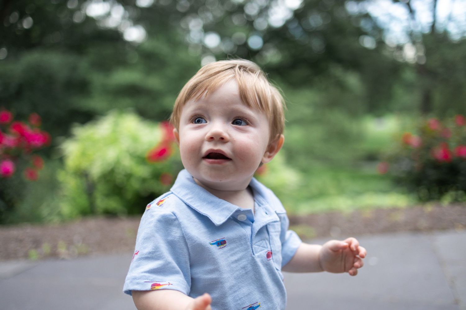 Toddler boy gazing past camera at Donegal Presbyterian Church in Mount Joy, PA during family session with Lancaster, PA photographer