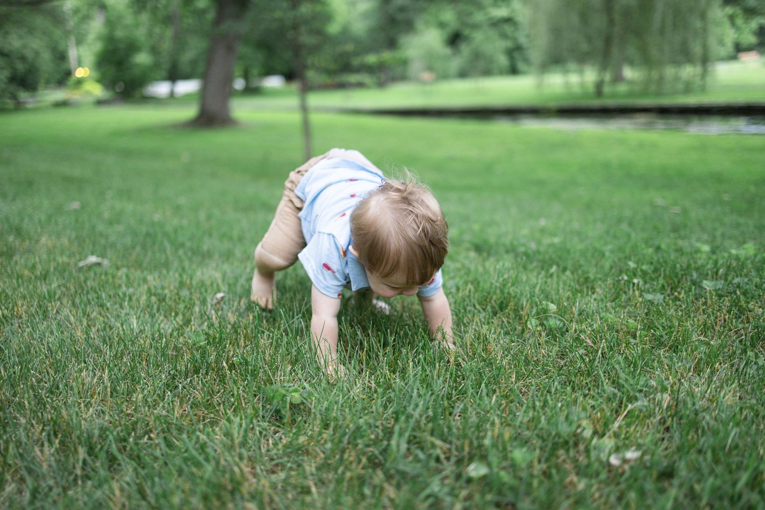 Toddler crawls in long grass at Donegal Presbyterian Church in Mount Joy, PA during family session with Lancaster, PA photographer.
