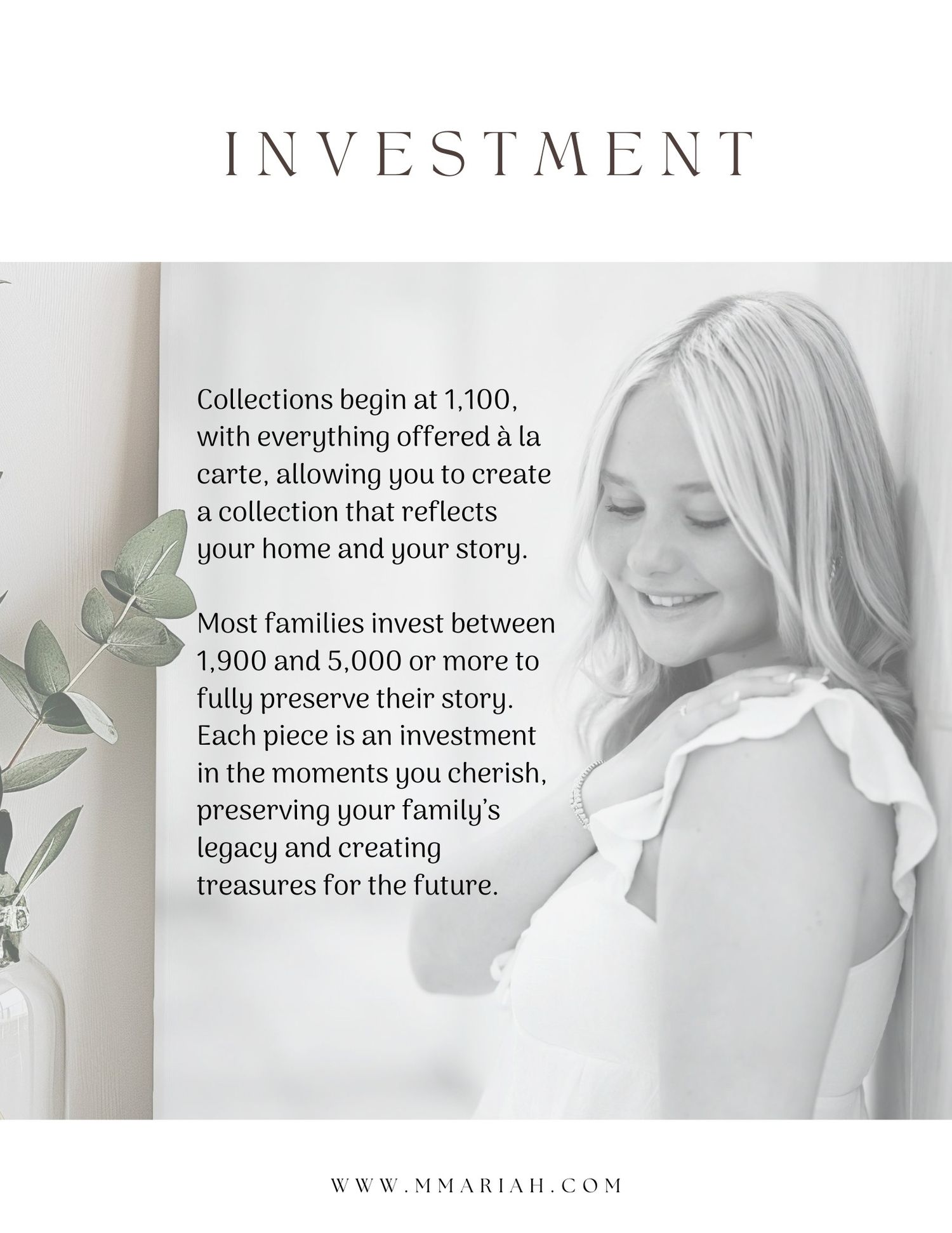 Investment photography collection banner showing pricing and preservation details in grayscale design.