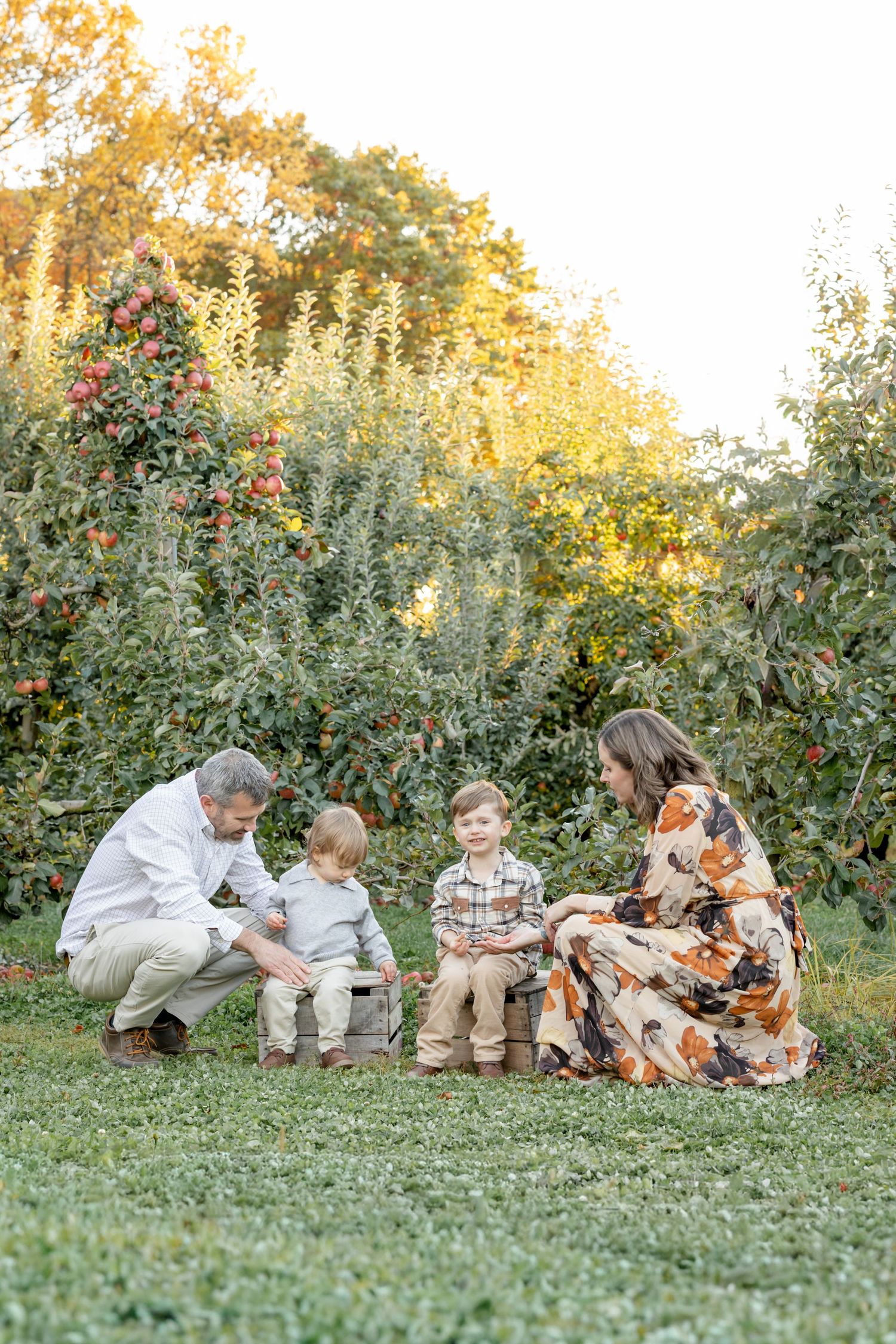 Family of four enjoying a fall day in an apple orchard, with two young boys sitting on a wooden crate.
