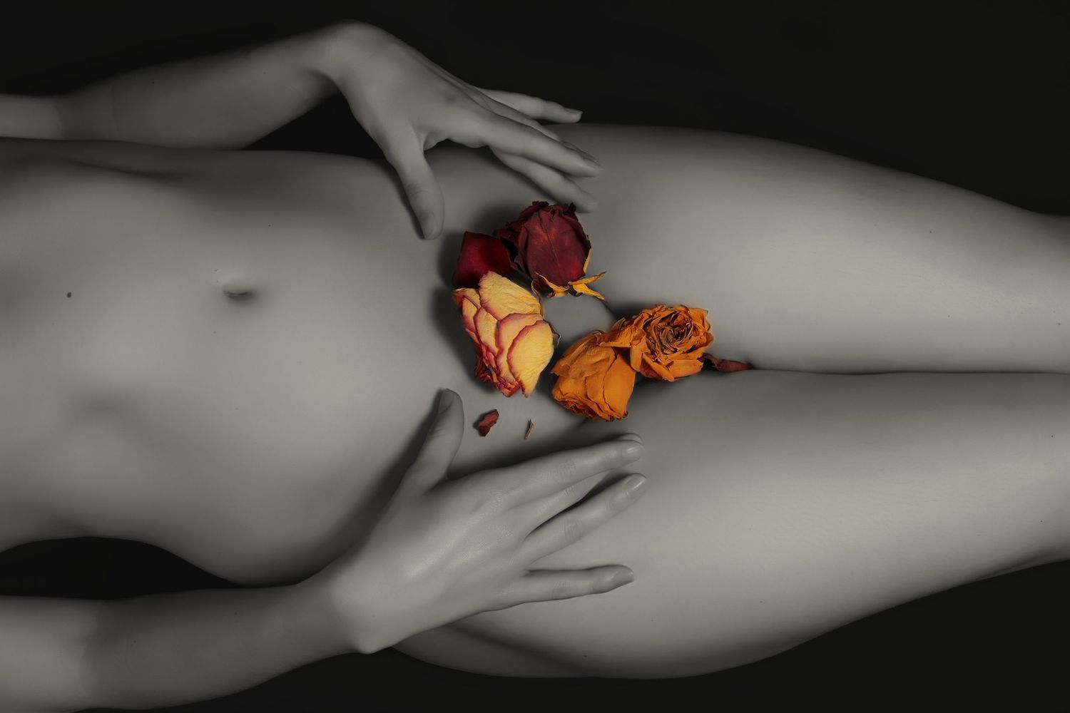 Fine art photography composition of a human form with hands resting on the abdomen, featuring dried roses as a focal point.