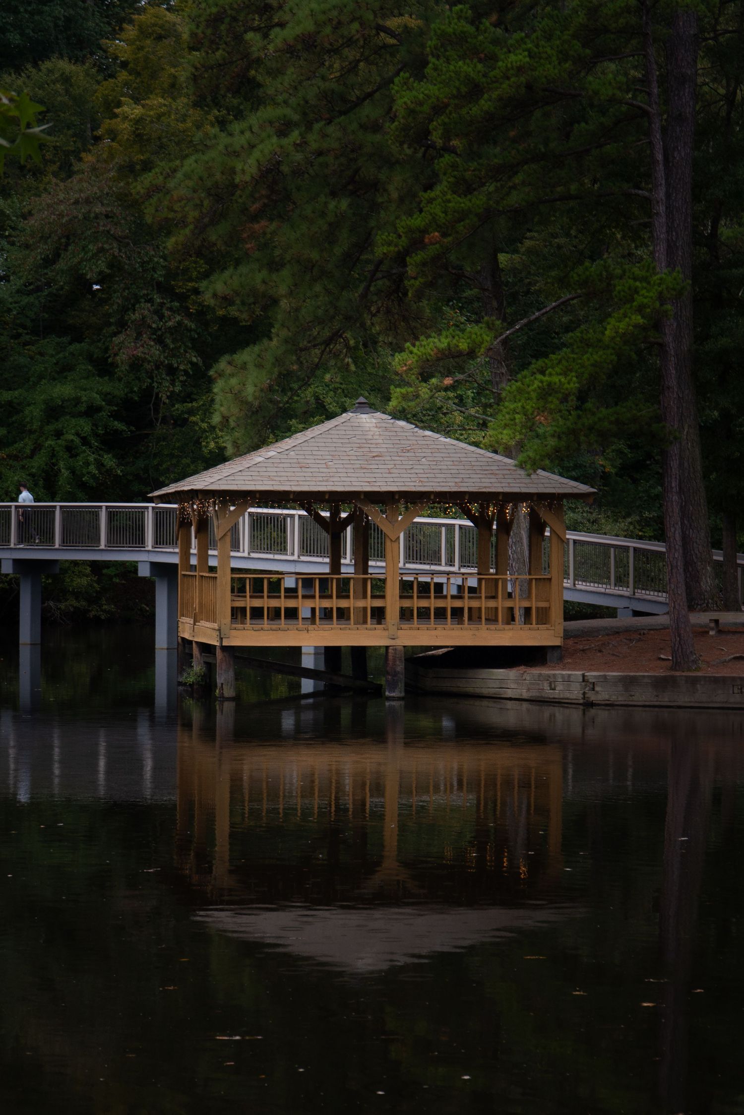 Wooden dock extends over calm lake water surrounded by dense forest.